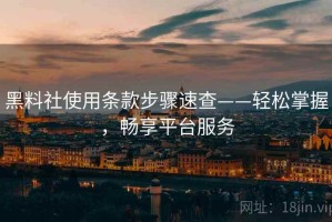 黑料社使用条款步骤速查——轻松掌握，畅享平台服务