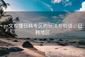 一文看懂日韩专区的玩法与价值，日韩地区