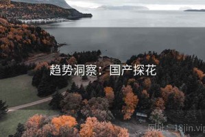 趋势洞察：国产探花