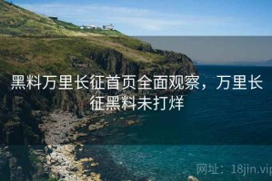 黑料万里长征首页全面观察，万里长征黑料未打烊