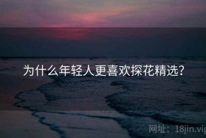 为什么年轻人更喜欢探花精选？