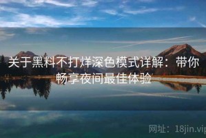 关于黑料不打烊深色模式详解：带你畅享夜间最佳体验