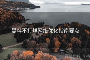 黑料不打烊网络优化指南要点
