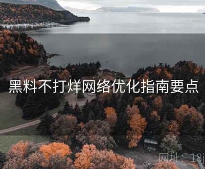 黑料不打烊网络优化指南要点