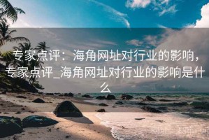 专家点评：海角网址对行业的影响，专家点评_海角网址对行业的影响是什么
