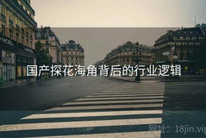 国产探花海角背后的行业逻辑
