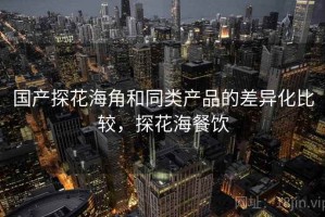 国产探花海角和同类产品的差异化比较，探花海餐饮