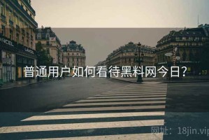 普通用户如何看待黑料网今日？