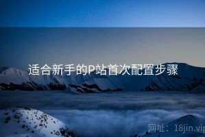 适合新手的P站首次配置步骤