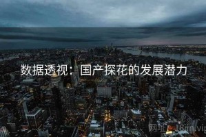 数据透视：国产探花的发展潜力