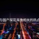 盘点与国产探花海角相关的热点事件