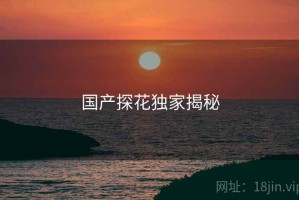 国产探花独家揭秘