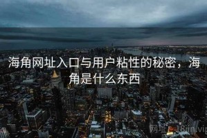 海角网址入口与用户粘性的秘密，海角是什么东西
