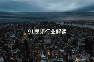 91视频行业解读
