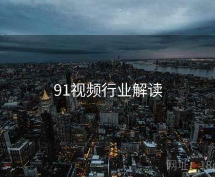 91视频行业解读