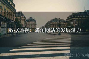 数据透视：海角网站的发展潜力