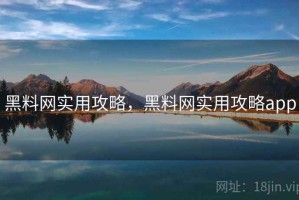 黑料网实用攻略，黑料网实用攻略app