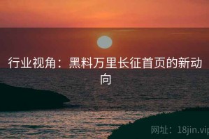 行业视角：黑料万里长征首页的新动向