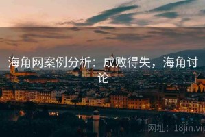 海角网案例分析：成败得失，海角讨论