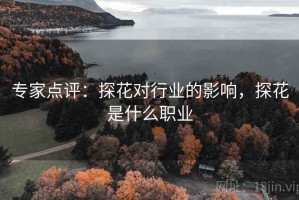 专家点评：探花对行业的影响，探花是什么职业