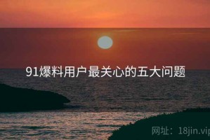 91爆料用户最关心的五大问题