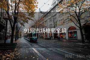 91网市场格局全解