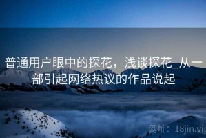 普通用户眼中的探花，浅谈探花_从一部引起网络热议的作品说起