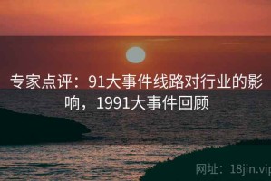 专家点评：91大事件线路对行业的影响，1991大事件回顾