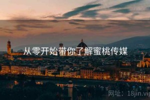 从零开始带你了解蜜桃传媒