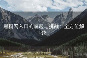 黑料网入口的崛起与挑战：全方位解读