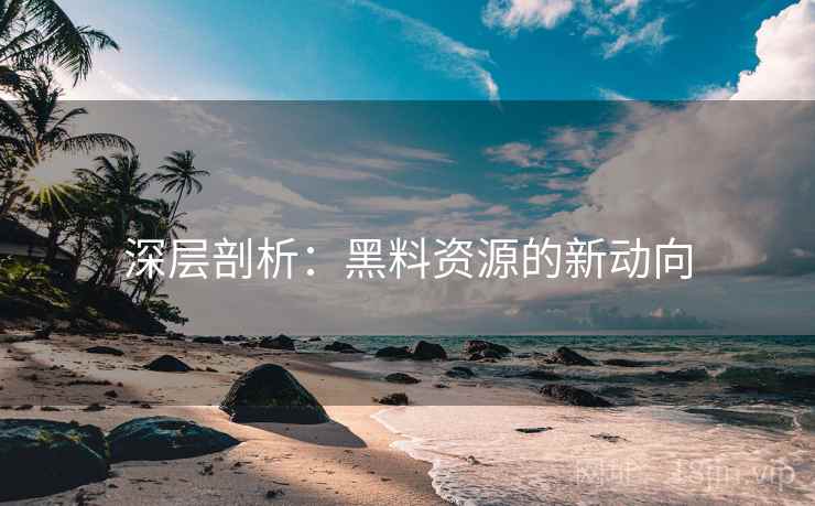 深层剖析：黑料资源的新动向