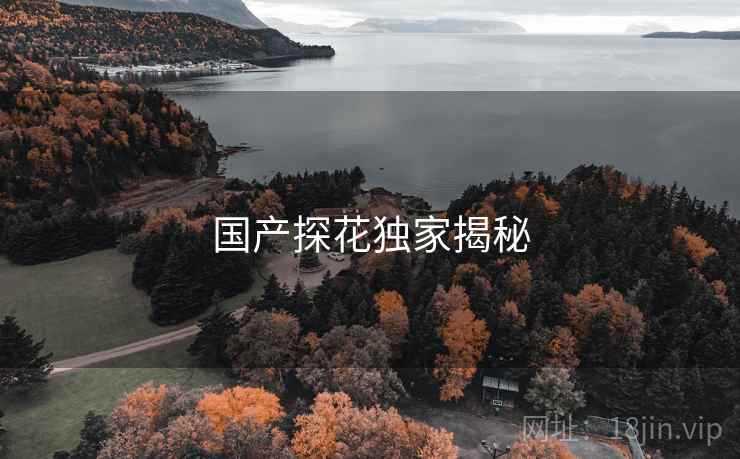 国产探花独家揭秘