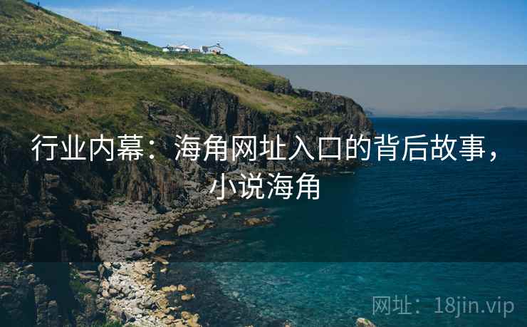 行业内幕：海角网址入口的背后故事，小说海角