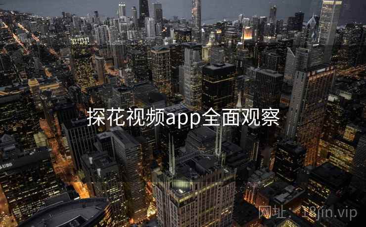 探花视频app全面观察
