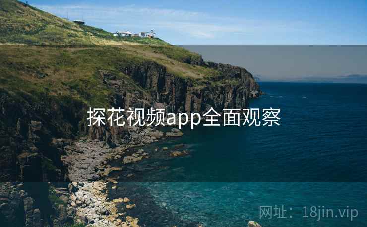 探花视频app全面观察