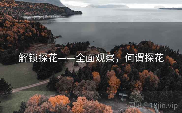 解锁探花——全面观察，何谓探花