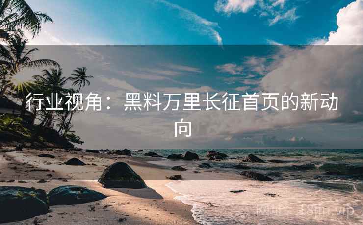 行业视角：黑料万里长征首页的新动向