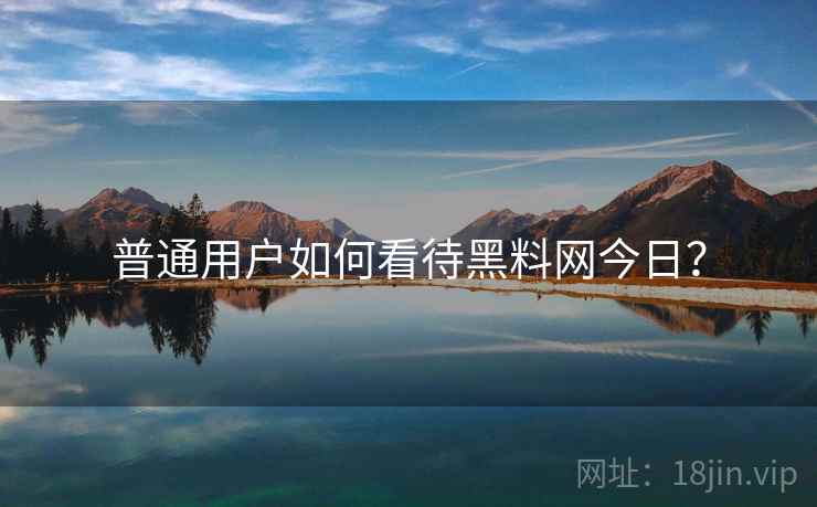 普通用户如何看待黑料网今日？