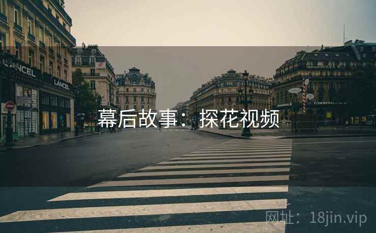幕后故事：探花视频