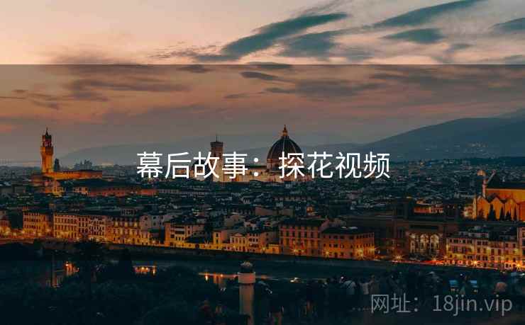 幕后故事：探花视频