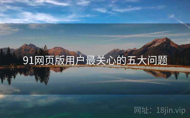 91网页版用户最关心的五大问题