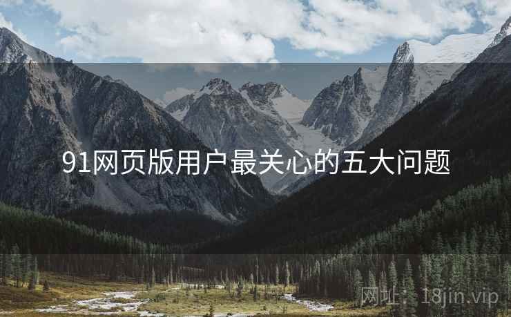 91网页版用户最关心的五大问题