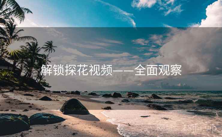 解锁探花视频——全面观察