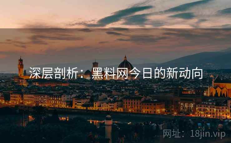 深层剖析：黑料网今日的新动向