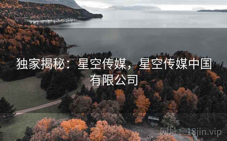 独家揭秘：星空传媒，星空传媒中国有限公司