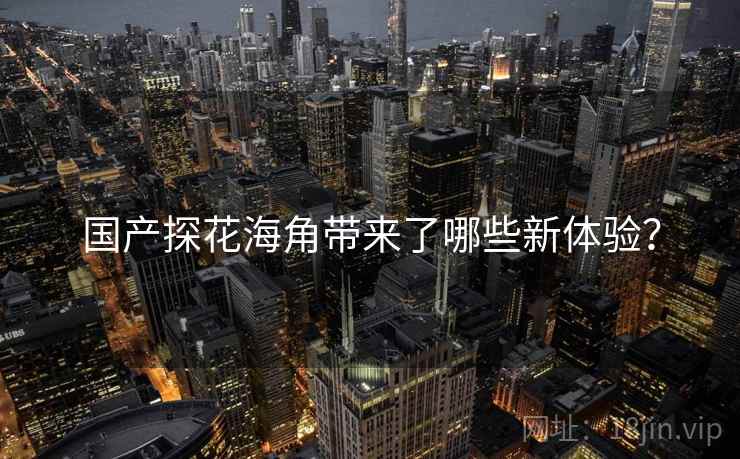 国产探花海角带来了哪些新体验？