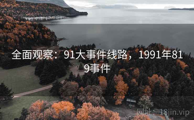 全面观察：91大事件线路，1991年819事件