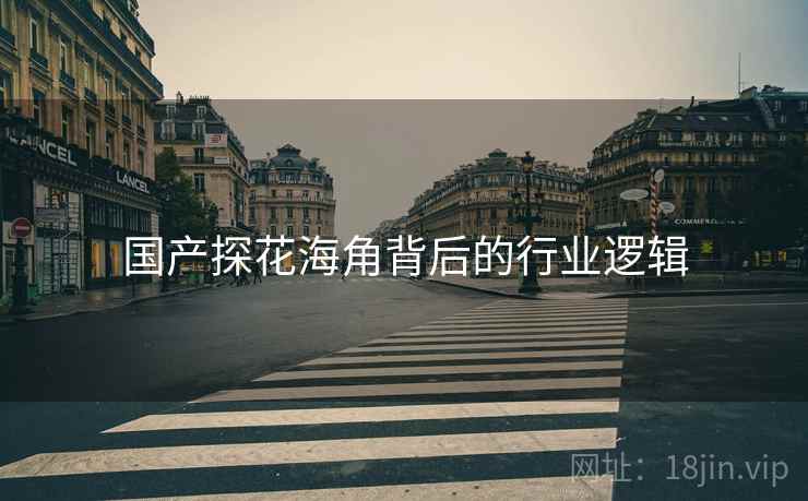 国产探花海角背后的行业逻辑