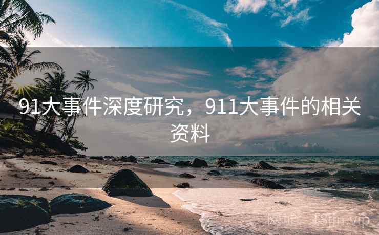 91大事件深度研究，911大事件的相关资料