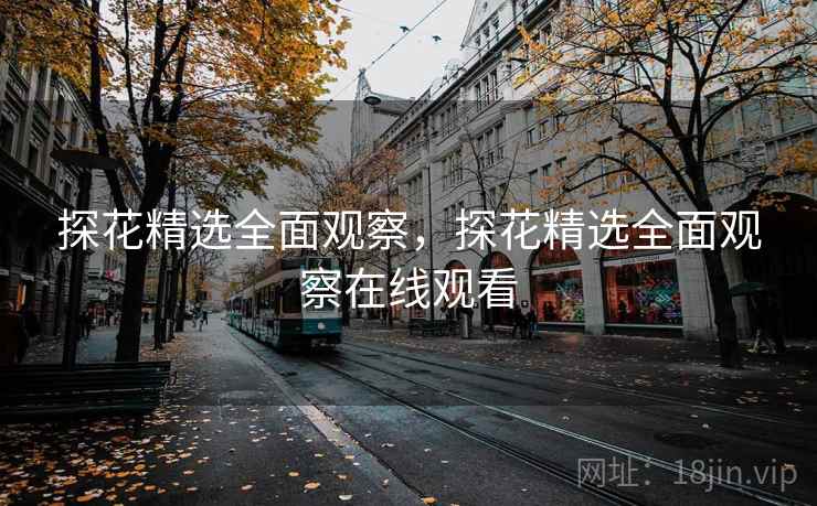 探花精选全面观察，探花精选全面观察在线观看